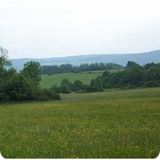 Panorama - Blick vom Oschenberg Richtung Nemmersdorf.